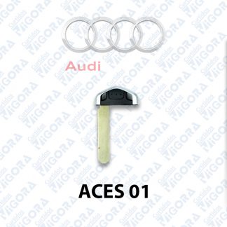 Audi-ACES01 Vigora