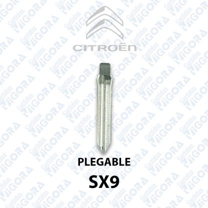 Citroen Pegable-SX9