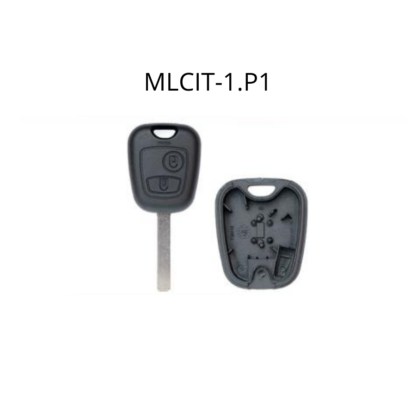 MLCIT1P1